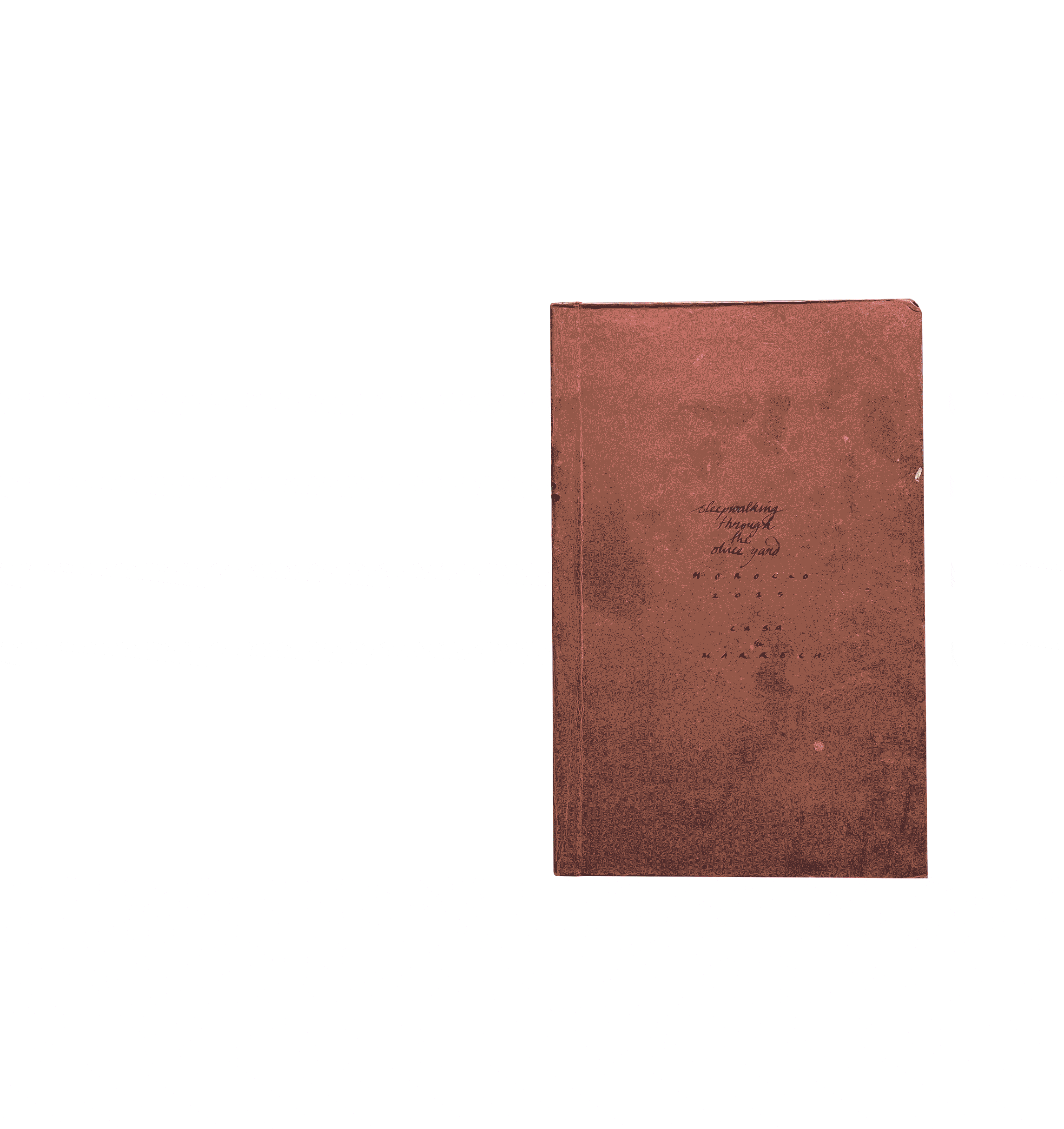 Morocco Journal – feat. Casablanca and Marrakech 2 Morocco Journal